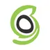 Logo van SiteGround